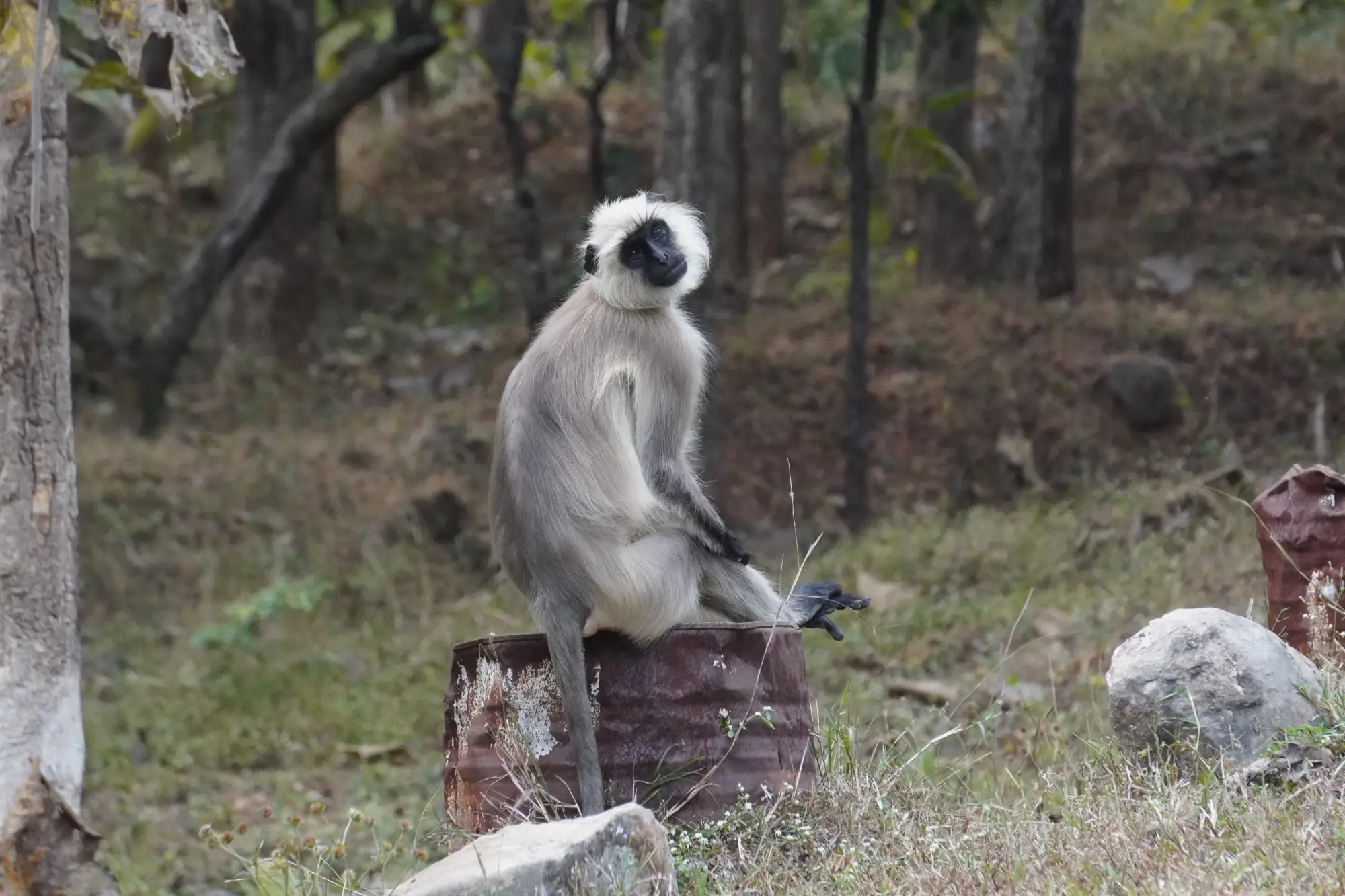 A photograph made on a photowalk in Pune