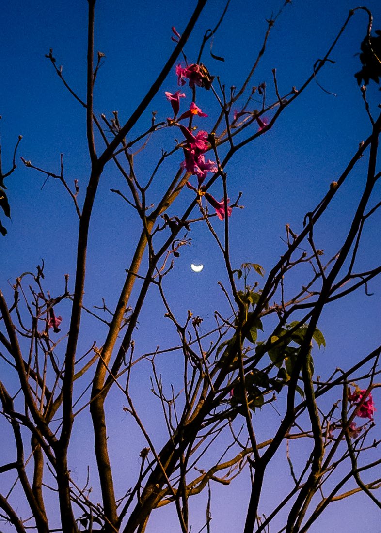 A photograph made on a photowalk in Pune
