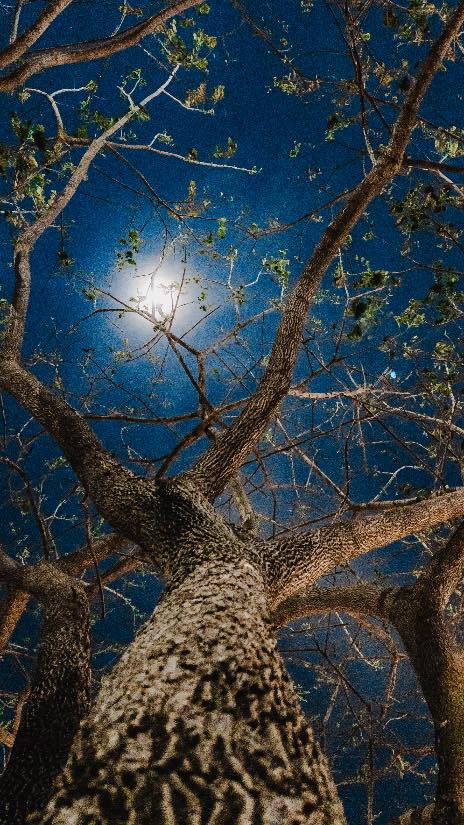 A photograph made on a photowalk in Pune